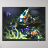 Seedame Poster (Vorne)