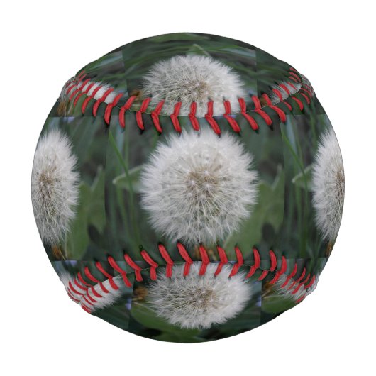 Seeding Dandelion Blume Baseball (Vorderseite)