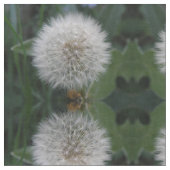 Seeding Dandelion Blume Bloral Gemustert Stoff (Nahaufnahme)