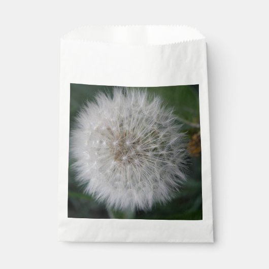 Seeding Dandelion Blume Fvor Bags Geschenktütchen (Vorderseite)
