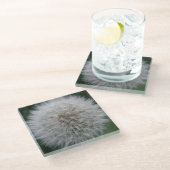 Seeding Dandelion Blume Glass Untersetzer (Schrägansicht)