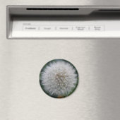 Seeding Dandelion Blume Magnet (In Situ (Geschirrspüler))