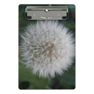 Seeding Dandelion Blume Mini Clipboard Klemmbrett