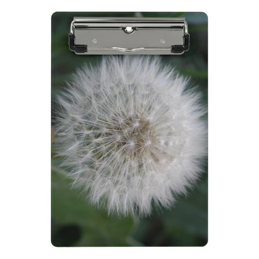 Seeding Dandelion Blume Mini Clipboard Klemmbrett (Vorderseite)