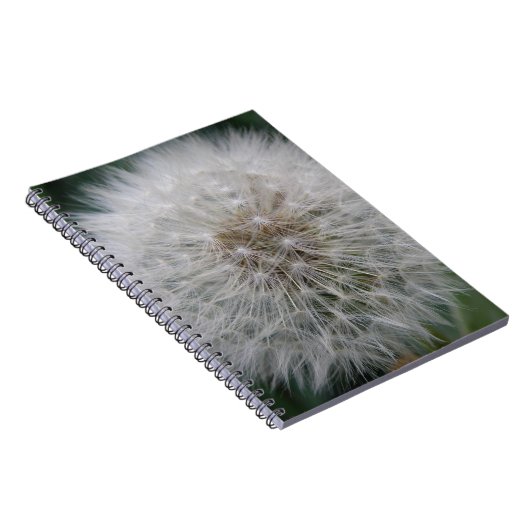 Seeding Dandelion Blume Notebook Notizblock (Rechte Seite)