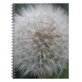 Seeding Dandelion Blume Notebook Notizblock (Vorderseite)