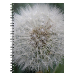 Seeding Dandelion Blume Notebook Notizblock