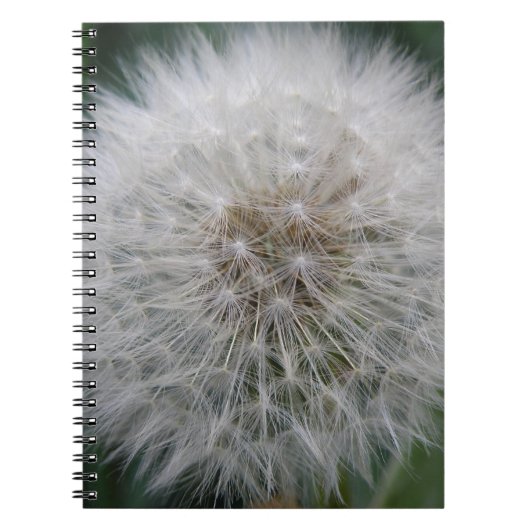 Seeding Dandelion Blume Notebook Notizblock (Vorderseite)