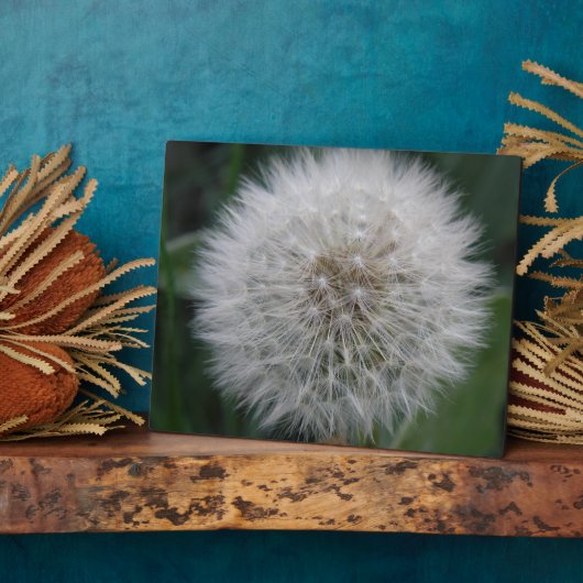Seeding Dandelion Blume Plaque Fotoplatte (Seite)