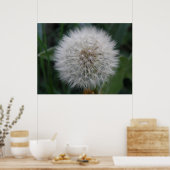 Seeding Dandelion Blume Poster (Küche)