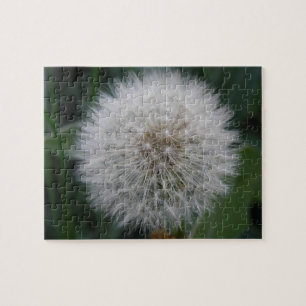 Seeding Dandelion Blume Puzzle