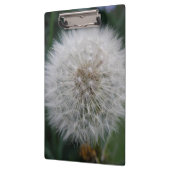 Seeding Dandelion Blume Zwischenablage Klemmbrett (Links)
