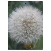 Seeding Dandelion Blume Zwischenablage Klemmbrett (Rückseite)