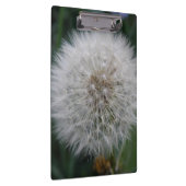 Seeding Dandelion Blume Zwischenablage Klemmbrett (Rechts)