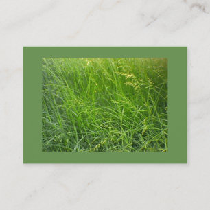 Seeding Fescue Landscaping Visitenkarte