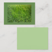 Seeding Fescue Landscaping Visitenkarte (Vorne/Hinten)