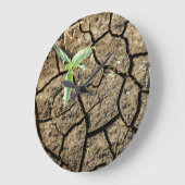 Seedling In Cracked Earth Große Wanduhr (Winkel)
