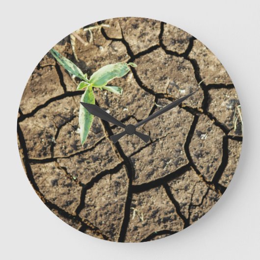 Seedling In Cracked Earth Große Wanduhr (Vorderseite)