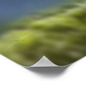Seedlings, nah nach oben, Linsenflare Poster (Ecke)