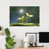 Seedlings, nah nach oben, Linsenflare Poster (Heimbüro)