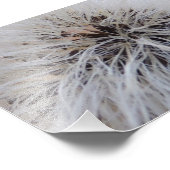 Seedpods Fotodruck (Ecke)