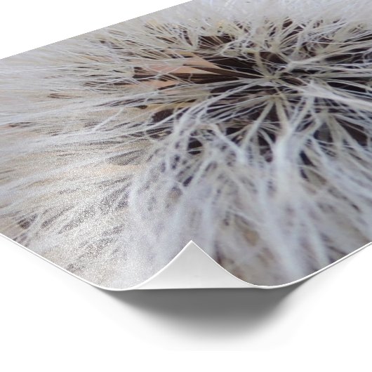 Seedpods Fotodruck (Ecke)