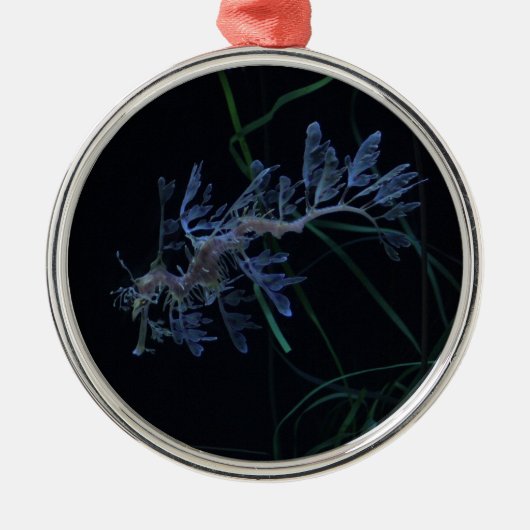 Seedrache Silbernes Ornament (Vorne)