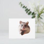 Seeds & Hamsters Postkarte (Stehend Vorderseite)