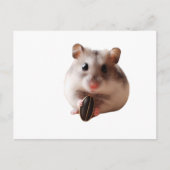 Seeds & Hamsters Postkarte (Vorderseite)