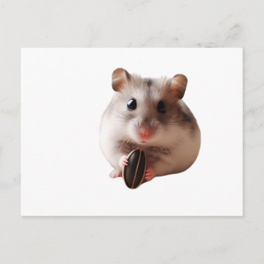 Seeds & Hamsters Postkarte (Vorderseite)