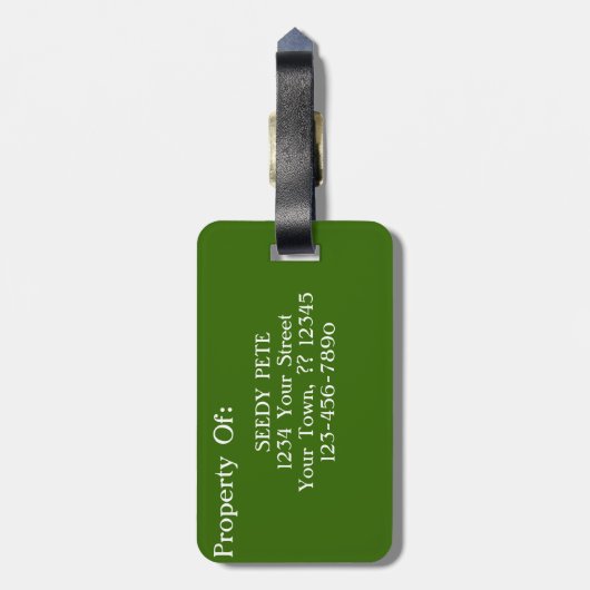 Seedy Pete Skull Odd Whimsical Monster Art Quirky Gepäckanhänger (Rückseite vertikal)