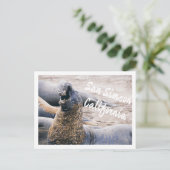 Seeelefanten Postkarte (Stehend Vorderseite)