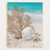 Seefächer mit Sanddollar und Seestern Planer (Vorderseite)