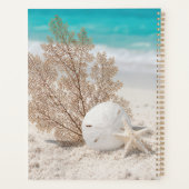 Seefächer mit Sanddollar und Seestern Planer (Rückseite)