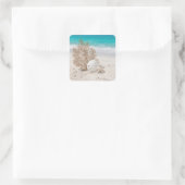 Seefächer mit Sanddollar und Seestern Quadratischer Aufkleber (Tasche)
