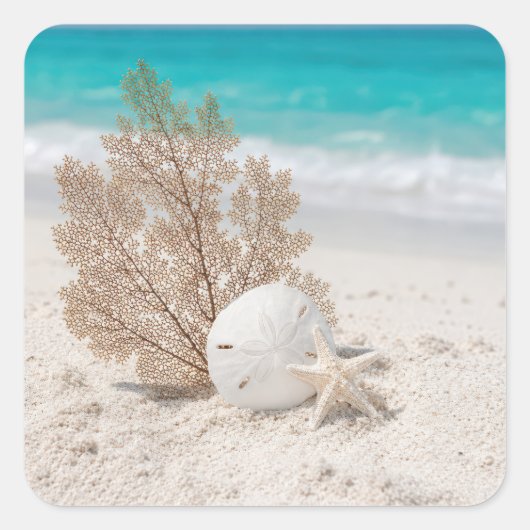 Seefächer mit Sanddollar und Seestern Quadratischer Aufkleber (Vorderseite)