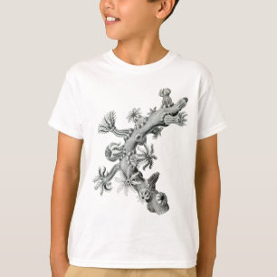 Seefächer T-Shirt