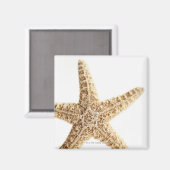 Seefisch Magnet (Vorderseite/Rückseite)