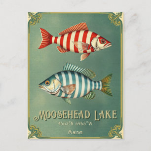 Seefisch Moosehead Lake Maine Postcard Postkarte