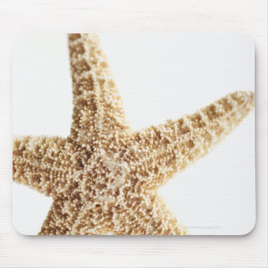Seefisch Mousepad (Vorne)