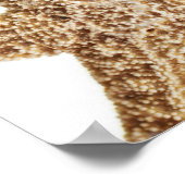 Seefisch Poster (Ecke)