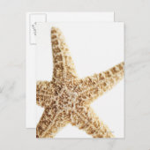 Seefisch Postkarte (Vorne/Hinten)