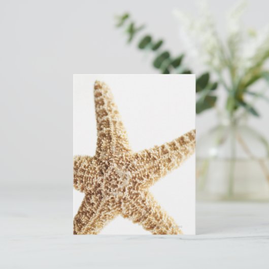 Seefisch Postkarte (Stehend Vorderseite)