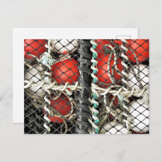 SEEFISCHEREI POSTKARTE (Vorne/Hinten)