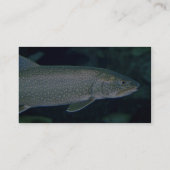 Seeforelle Visitenkarte (Rückseite)