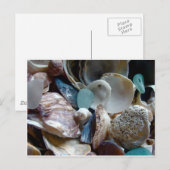 Seeglas-Muschel gesammelt Postkarte (Vorne/Hinten)