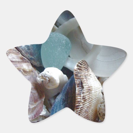 Seeglas-Muschel gesammelt Stern-Aufkleber (Vorderseite)