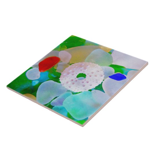 Seeglas-und Seeigel-Muschel Fliese (Seite)