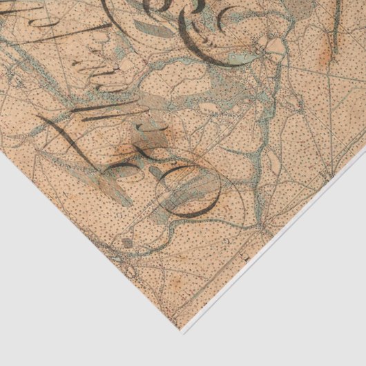 Seegöttin Seidenpapier (Ausschnitt)