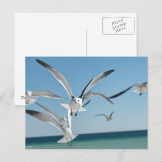 Seegras 3 postkarte (Vorne/Hinten)